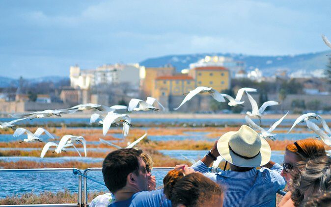 From Faro: Ria Formosa Eco Tour guided by Marine Biologist - Frequently Asked Questions