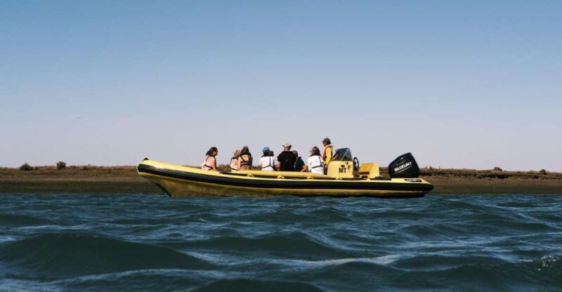 From Faro: Ria Formosa Eco Tour guided by Marine Biologist - From Faro: Ria Formosa Eco Tour guided by Marine Biologist