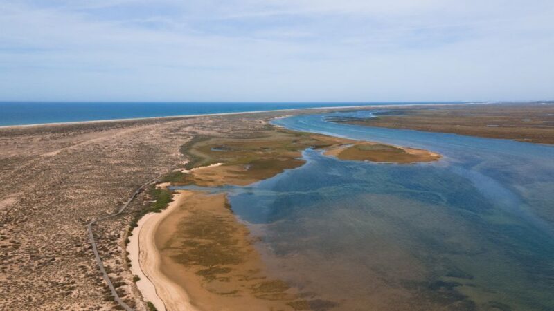 From Faro: Ria Formosa Eco Tour guided by Marine Biologist - Frequently Asked Questions