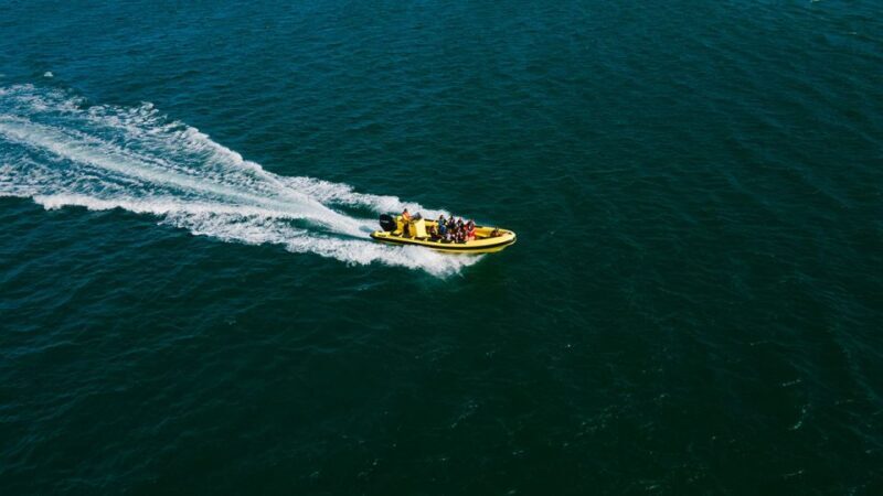 From Faro: Ria Formosa Hop-On Hop-Off 3 Islands Cruise - The Experience in Detail