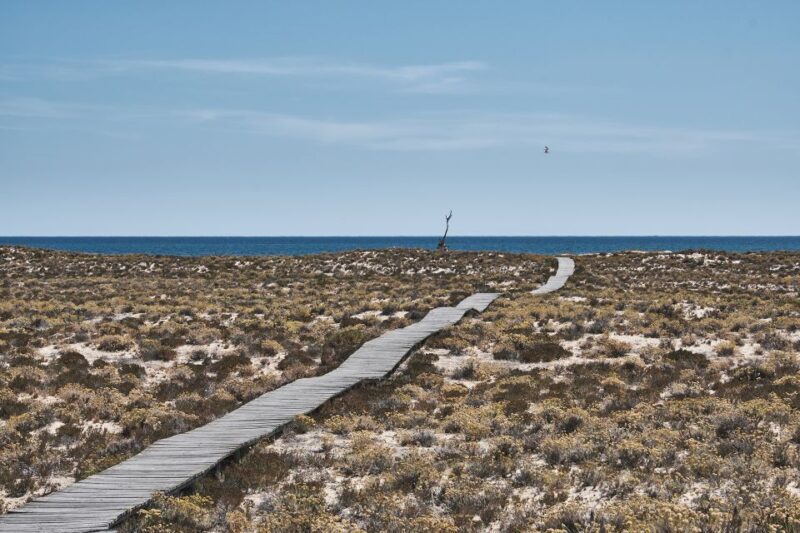 From Faro: Ria Formosa Hop-On Hop-Off 3 Islands Cruise - Who Should Consider This Tour?