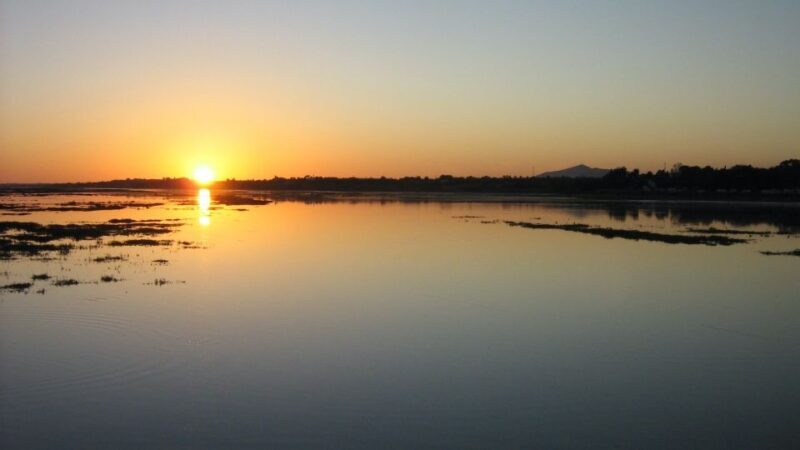 From Faro: Ria Formosa Sunset Boat Trip - A Comprehensive Look at the Ria Formosa Sunset Boat Trip