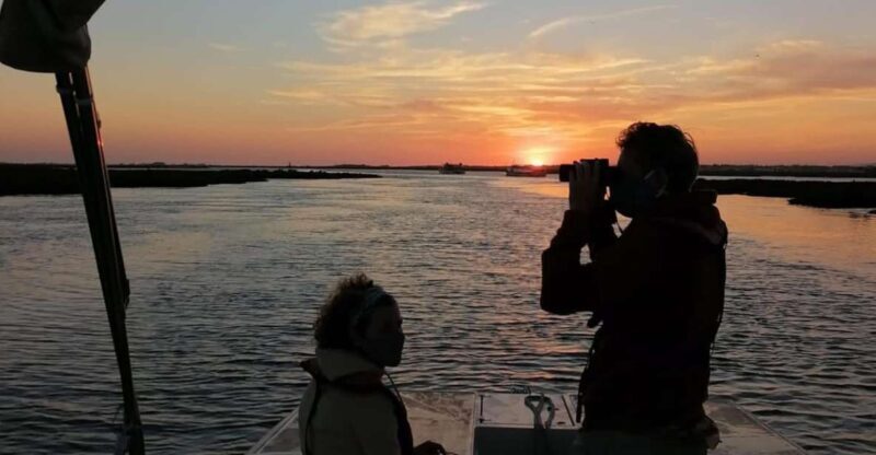 From Faro: Ria Formosa Sunset Boat Trip - Who Should Consider This Tour?