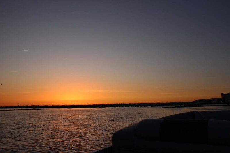 From Faro: Ria Formosa Sunset Boat Trip - An In-Depth Look at the Ria Formosa Sunset Boat Trip