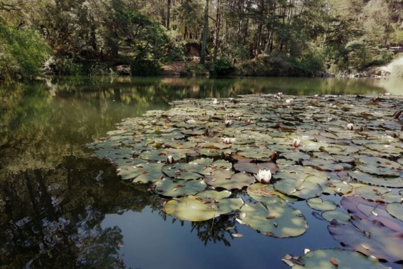 From Fátima: Sintra, Lisbon, and Cascais Private Tour - Exploring the Day in Detail