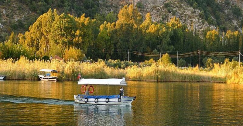 From Fethiye: Dalyan Day Trip with Mud Bath and Turtle Beach - From Fethiye: Dalyan Day Trip with Mud Bath and Turtle Beach