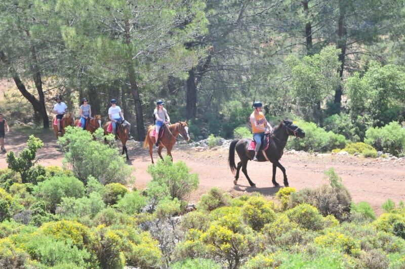 From Fethiye: Horse Riding Adventure - FAQ