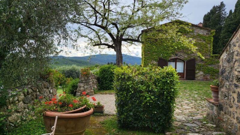 From Florence: Chianti Half-Day Afternoon Tour - Exploring Tuscany’s Heart on a Chianti Half-Day Tour from Florence