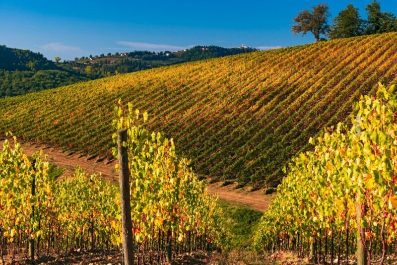 From Florence: Chianti Hills Half-Day Tour with Wine Tasting - Detailed Breakdown of the Itinerary