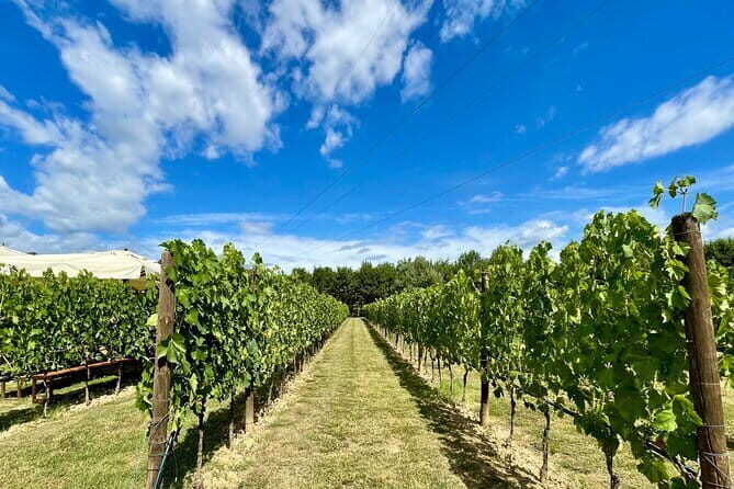 From Florence: Classic Chianti Villages and Wine Roads by Minivan - A Deep Dive into the Tuscany Day Trip