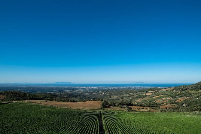 From Florence PRIVATE:Bolgheri Wine Tour,tasting among the Tuscany coastal hills - Who Will Love This Tour?