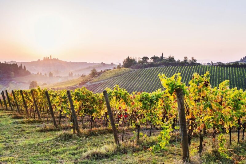 From Florence: Siena & San Gimignano Tour with Chianti Views - FAQs