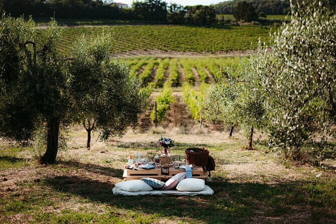 From Florence to Chianti Rufina: Wine Tasting Experience - Authenticity and Value