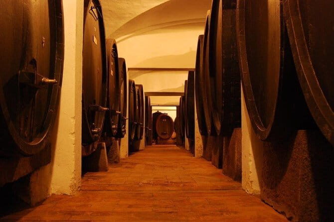 From Florence to Chianti Rufina: Wine Tasting Experience - Who Will Love This Tour?