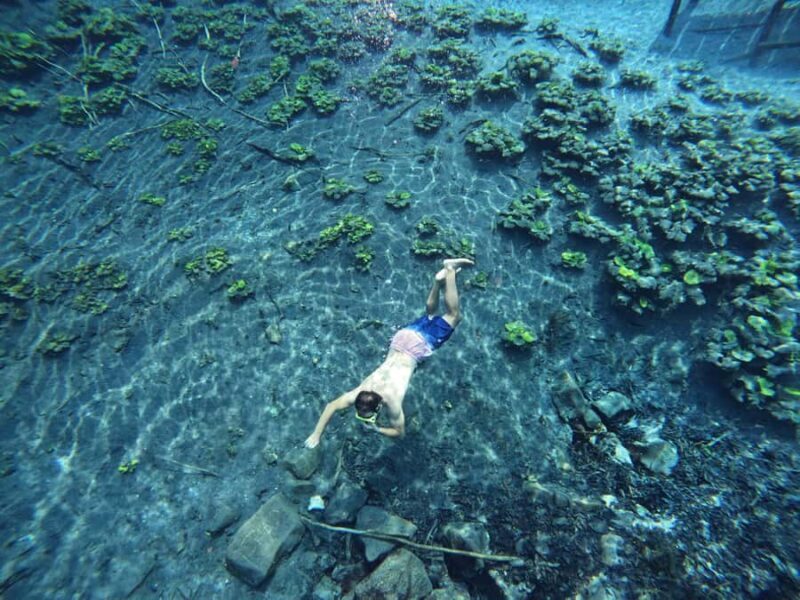 From Flores: Blue Crater Adventure All Inclusive - The Sum Up