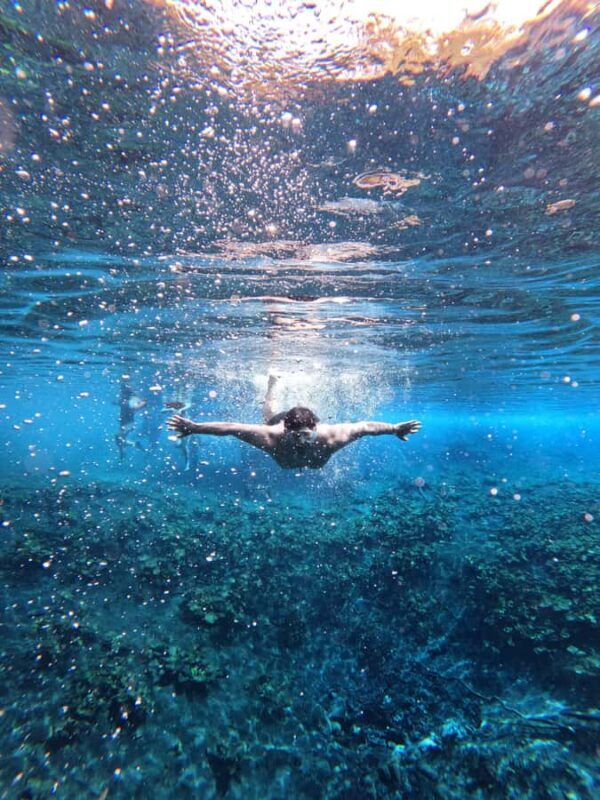 From Flores: Blue Crater All Inclusive - Practical Tips for Your Trip