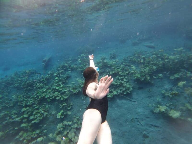 From Flores: Blue Crater private day tour - An Authentic and Practical Review of the Blue Crater Private Day Tour