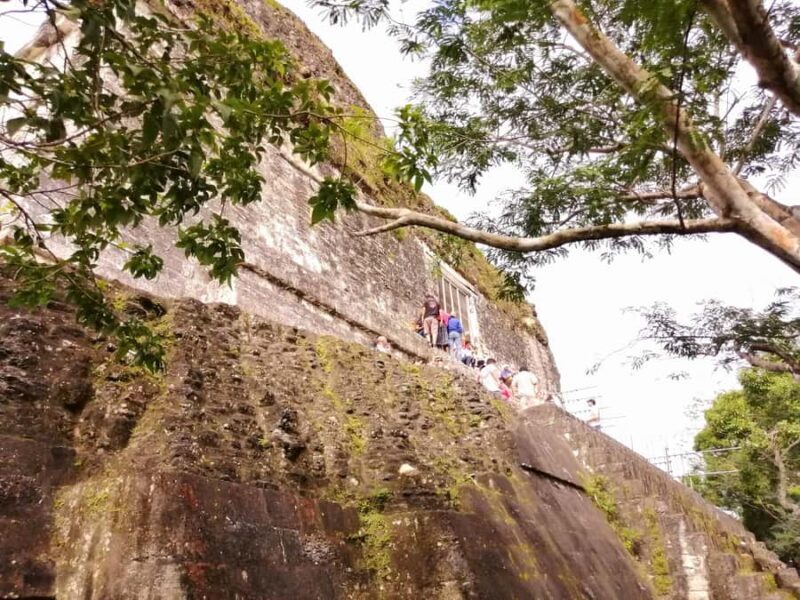 From Flores: Guided Tour to the Ruins of Tikal - Detailed Breakdown of the Itinerary