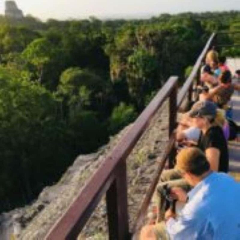 From Flores: Tikal and Yaxhá Day Tour - From Flores: Tikal and Yaxhá Day Tour — A Journey Through Ancient Maya Civilizations