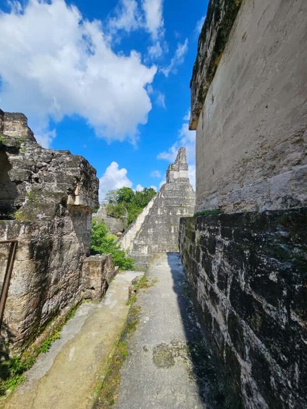 From Flores: Tikal National Park All Inclusive - An In-Depth Look at the Tikal All-Inclusive Tour