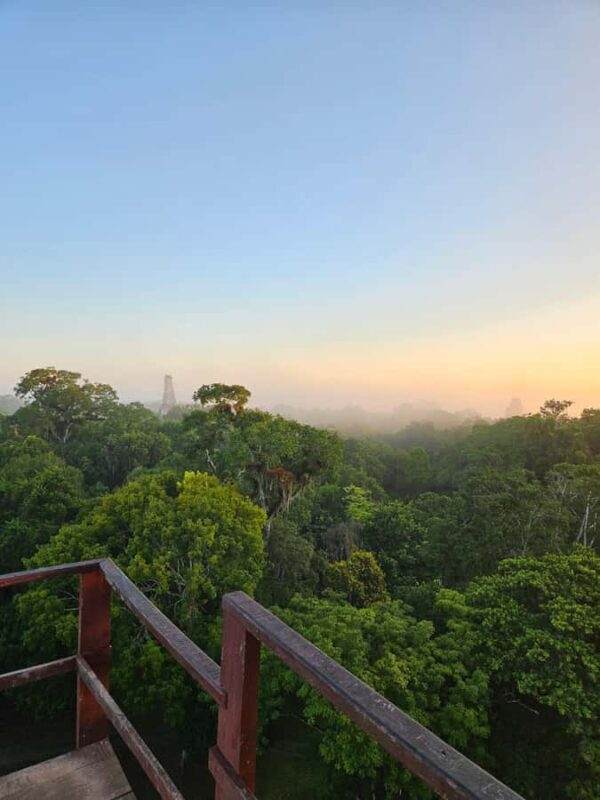 From Flores: Tikal National Park All Inclusive - Why This Tour Represents Good Value