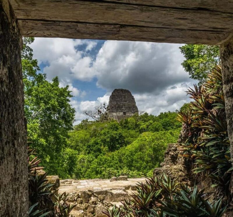 From Flores: Tikal National Park Private Day Trip with Lunch - An In-Depth Look at the Tikal Day Trip