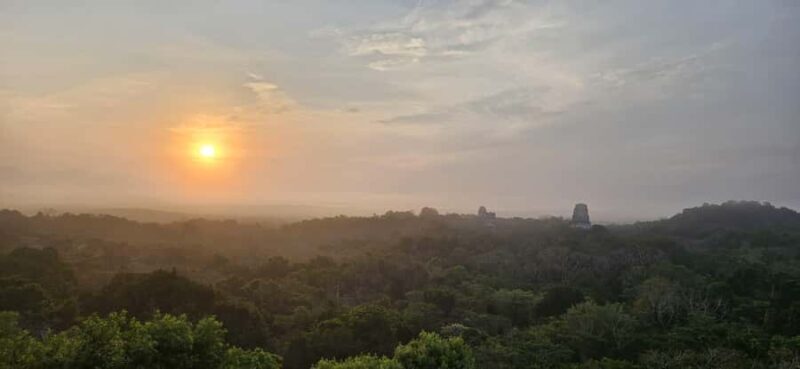 From Flores: Tikal Private Tour for Groups - Key Points