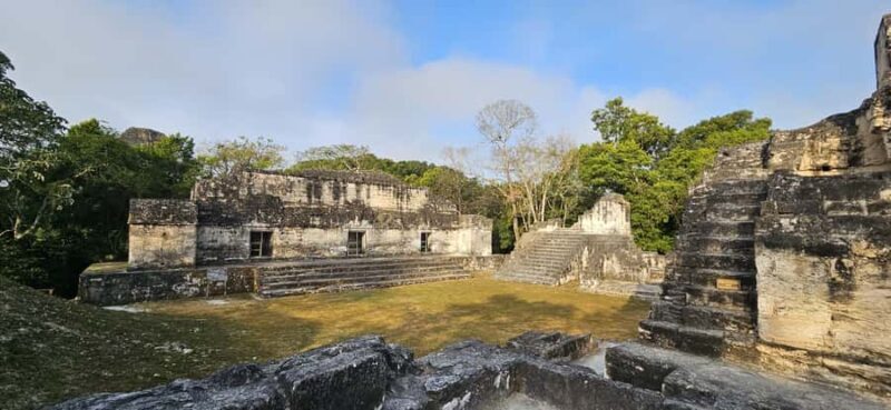 From Flores: Tikal Private Tour for Groups - Why This Tour Offers Excellent Value