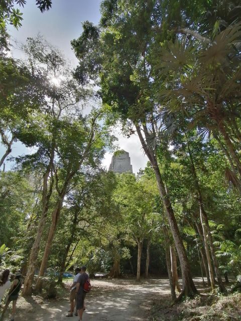 From Flores: Tikal Private Tour for Groups - FAQ