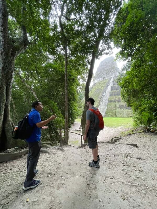 From Flores: Tikal VIP Exclusive cultural Tour All inclusive - Key Points