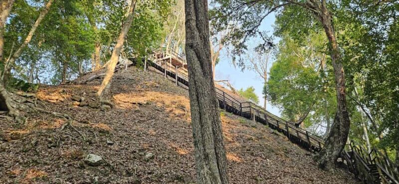 From Flores: Yaxha at Sunset Guided Tour - Who Will Love This Tour?