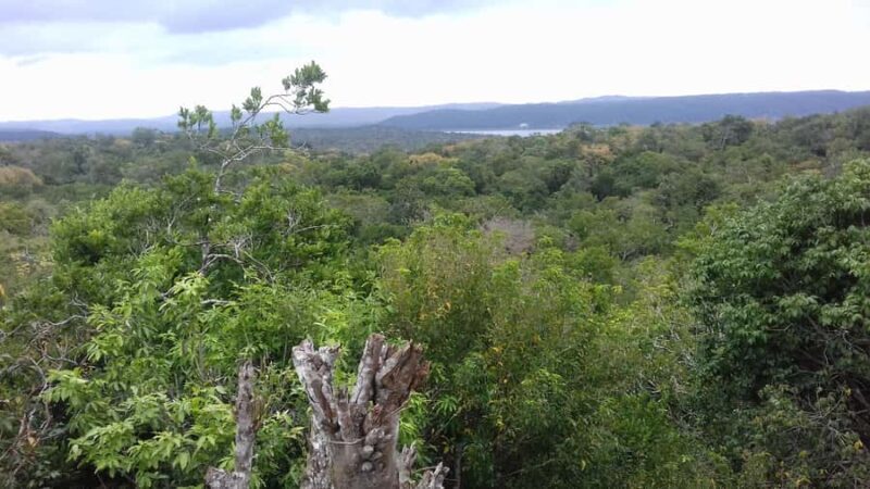From Flores: Yaxha Ruins Guided Tour - Who Will Love This Tour?