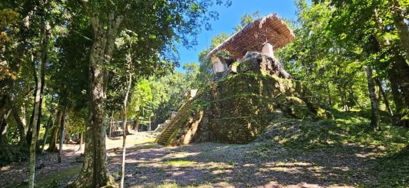 From Flores: Yaxha + Topoxte All-Inclusive Private - Key Points