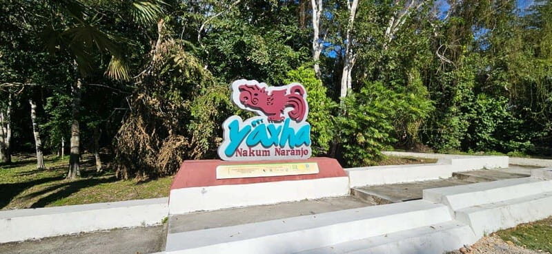 From Flores: Yaxha + Topoxte All-Inclusive Private - Main Event: The Yaxhá Archaeological Site Tour