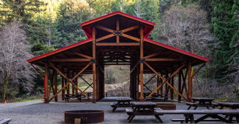 From Fort Bragg: Redwoods Train Ride and Nightclub Ticket - Discover the Redwoods by Train and Nightclub Experience in Fort Bragg