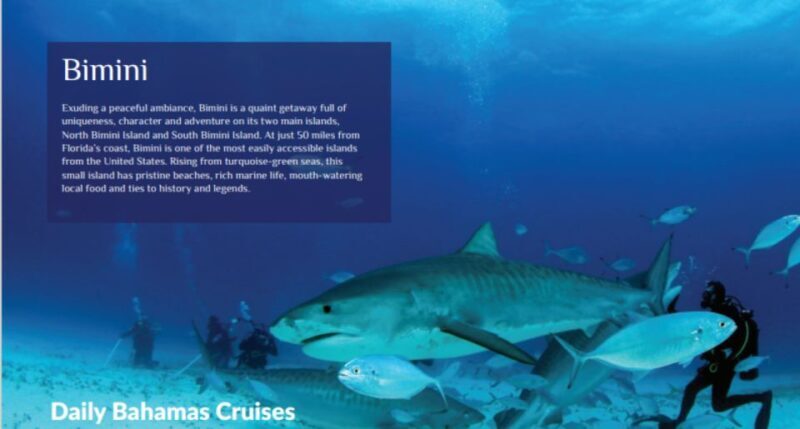 From Fort Lauderdale: Bimini Island Day Trip by Ferry - Final Words: Who Should Consider This Trip?