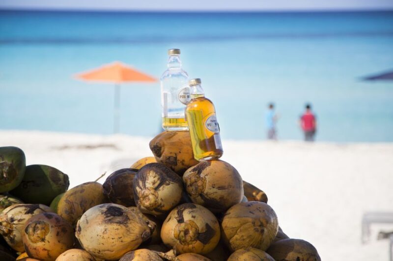 From Fort Lauderdale: Day Trip to Bimini - Final Thoughts: Who Will Appreciate This Trip?