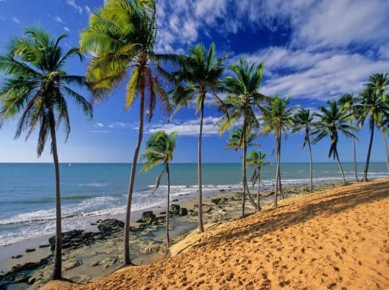 From Fortaleza: Lagoinha Beach Day Trip - From Fortaleza: Lagoinha Beach Day Trip — A Practical Journey to Natural Beauty