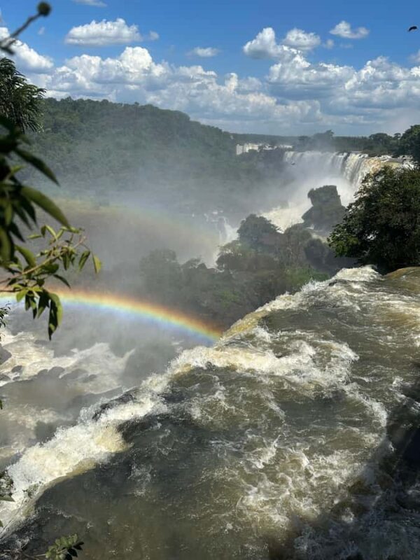 from Foz do Iguaçu: Private Tour on Iguaçu Falls - An In-Depth Look at the Tour