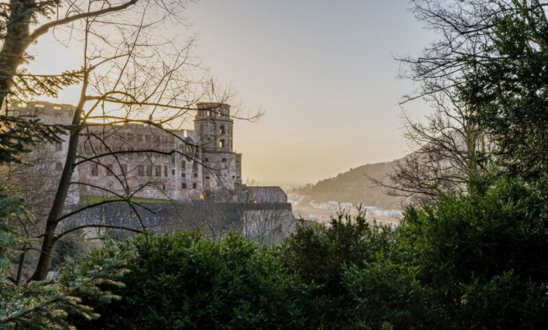 From Frankfurt: Day Tour to Heidelberg with Local Guide - Key Points