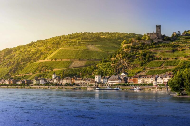 From Frankfurt: Rhine Valley Day Trip - Flexibility and Unforeseen Circumstances