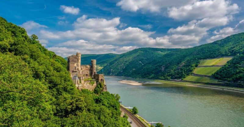 From Frankfurt: Rhine Valley Day Trip - Who Will Love This Tour?