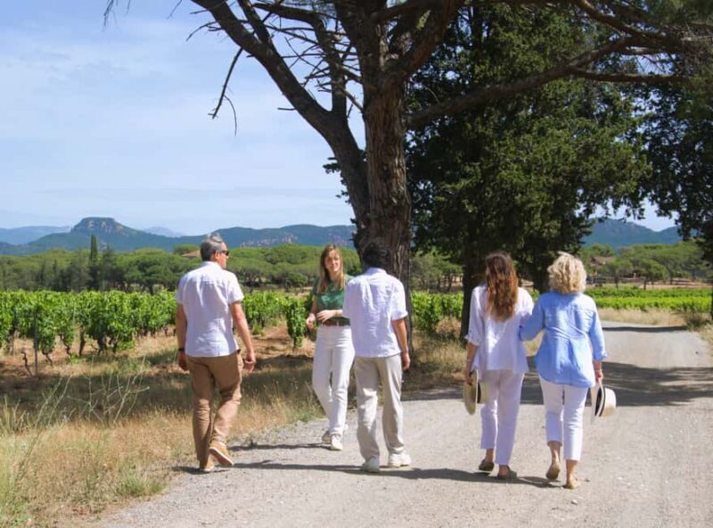 From Fréjus: Van tour to the heart of the Provençal vineyards - Exploring the Provençal Vineyard Experience