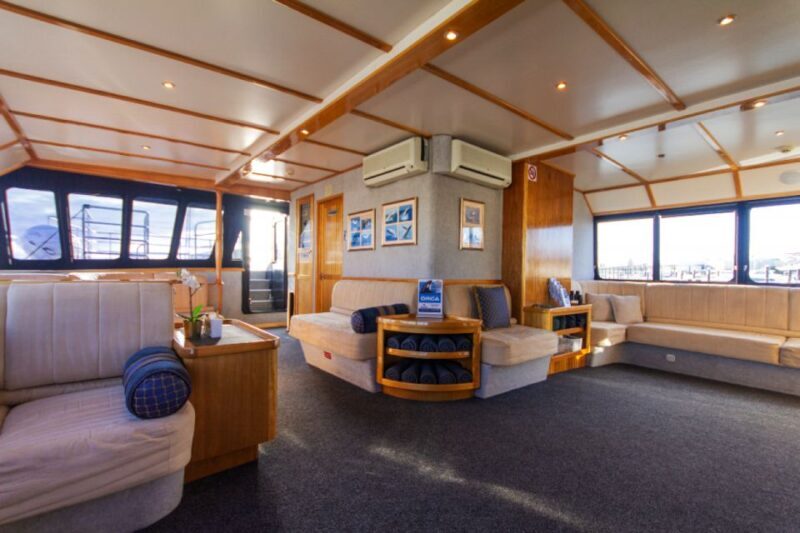 From Fremantle: 2-Hour Luxury Whale-Watching Cruise - Final Thoughts