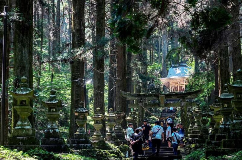 From Fukuoka: Miyazaki, Takachiho Gorge and Shrines Day tour - Key Points