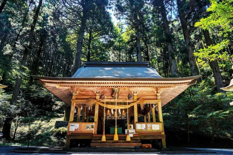 From Fukuoka: Miyazaki, Takachiho Gorge and Shrines Day tour - What You Can Expect Throughout the Day