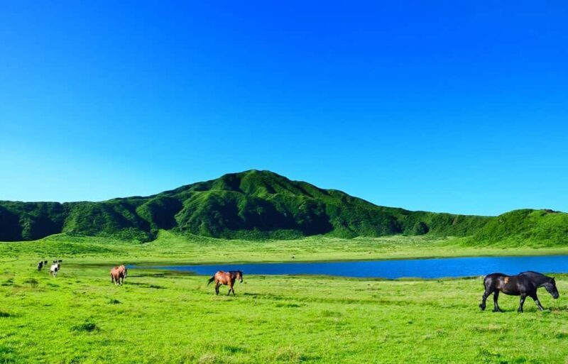 From Fukuoka: Mount Aso, Kurokawa Onsen, and Shrine Tour - Who Should Consider This Tour?