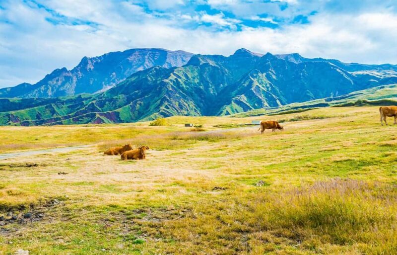 From Fukuoka: Mount Aso, Kurokawa Onsen, and Shrine Tour - Final Thoughts