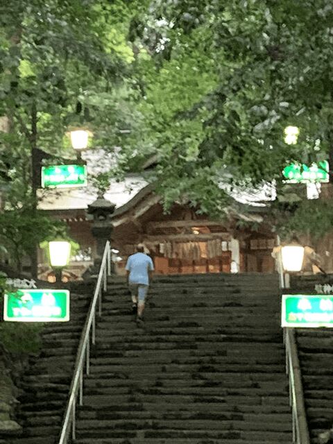 From Fukuoka: Mythical "Takachiho" Day Trip by PRIVATE Bus - A Deep Dive into the Mythical Heart of Kyushu