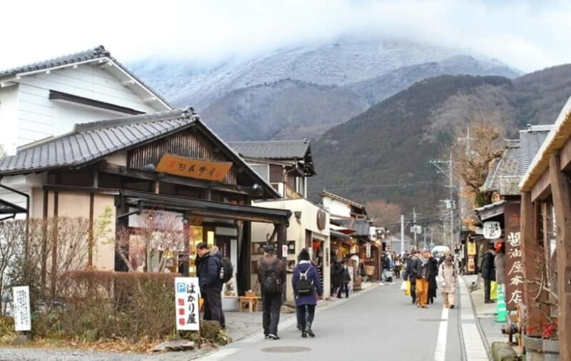 From Fukuoka: Yufuin, Hita, and Beppu Day Trip - Exploring Kyushu in a Single Day: A Practical Review